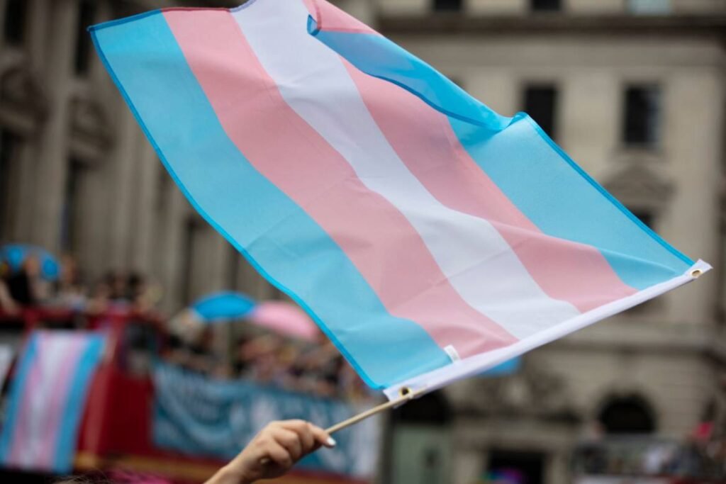 a flag being waved which is made of five stripes, the first is light blue, the second is light pink, then the third is white, the fourth is light pink, and the fifth is light blue. this is the trans flag.